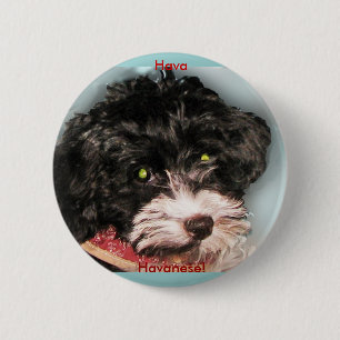 Badge Rond 5 Cm Hava Havanese !