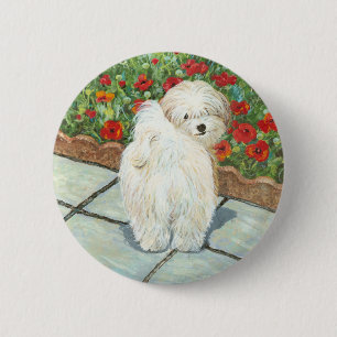 Badge Rond 5 Cm Havanese n Poppies Art Print Gips & Cards