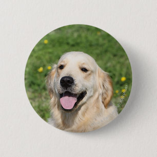 Badge Rond 5 Cm Headshot 1 de golden retriever