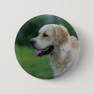 Badge Rond 5 Cm Headshot 2 2 de golden retriever