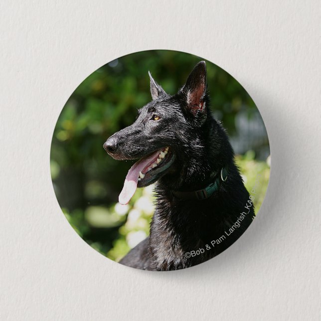 Badge Rond 5 Cm Headshot 2 de berger allemand (Devant)