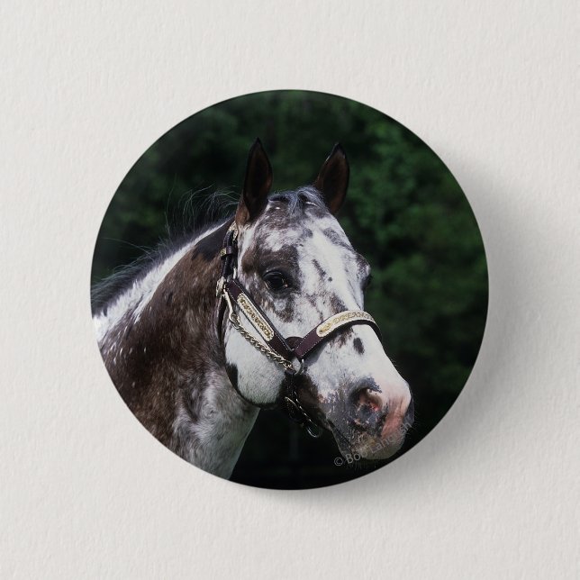 Badge Rond 5 Cm Headshot 2 de cheval d'Appaloosa (Devant)