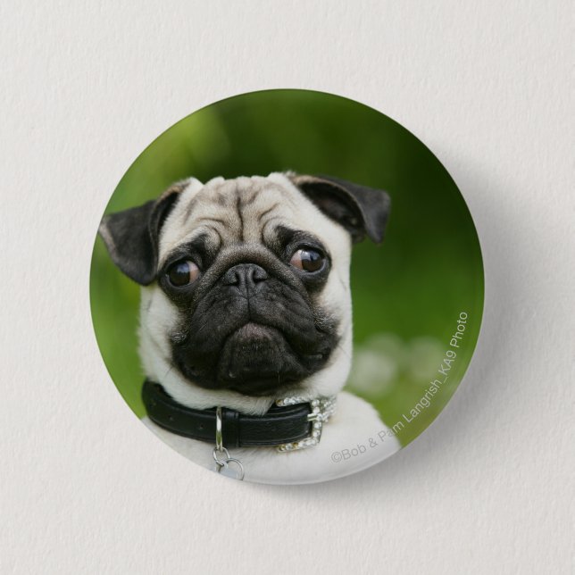 Badge Rond 5 Cm Headshot de carlin (Devant)