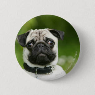 Badge Rond 5 Cm Headshot de carlin