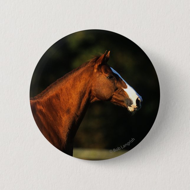 Badge Rond 5 Cm Headshot de cheval de pur sang (Devant)