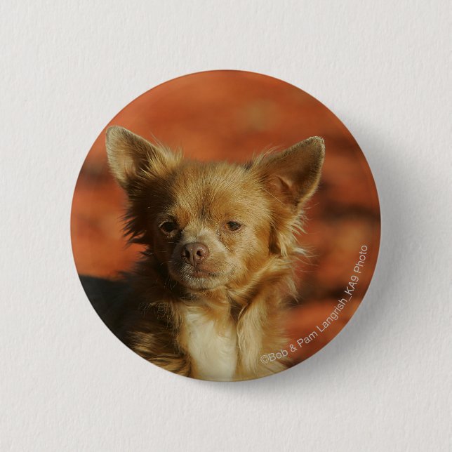 Badge Rond 5 Cm Headshot de chiot de chiwawa (Devant)