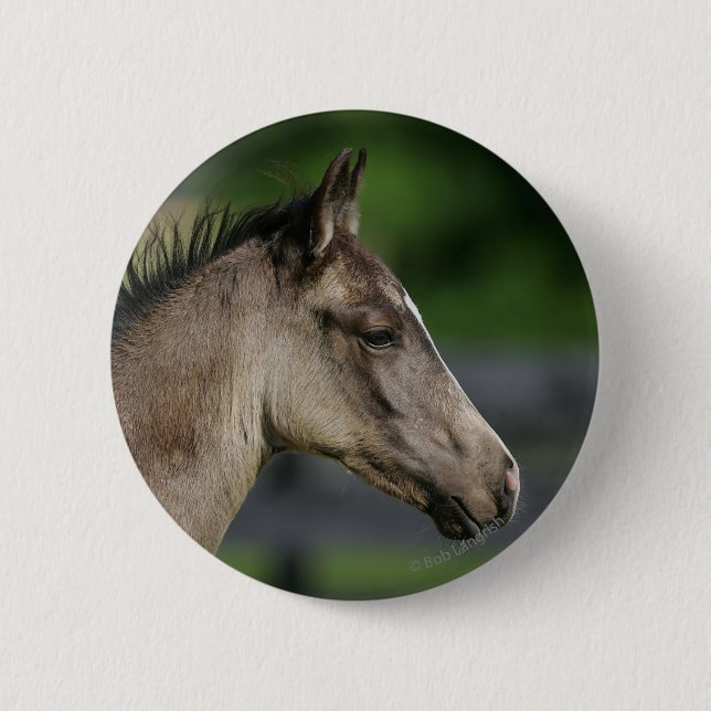 Badge Rond 5 Cm Headshot quart de poulain de cheval (Devant)