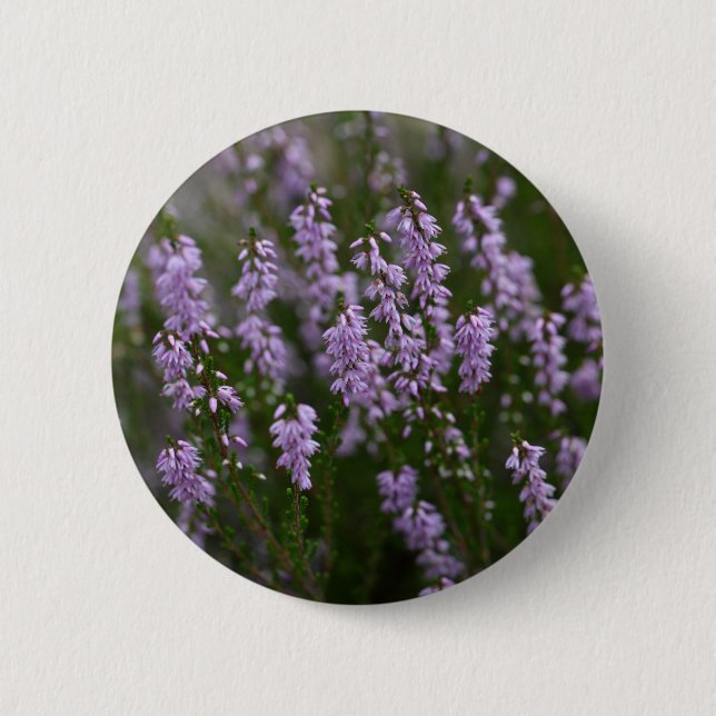 Badge Rond 5 Cm Heather commune (Calluna vulgaris) (Devant)