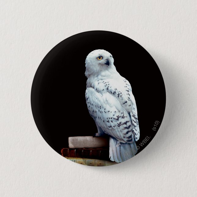 Badge Rond 5 Cm Hedwig dans les livres (Devant)