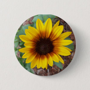 Badge Rond 5 Cm Helianthus Annuus