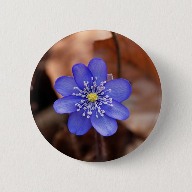 Badge Rond 5 Cm Hepatica commun (nobilis de Hepatica) (Devant)