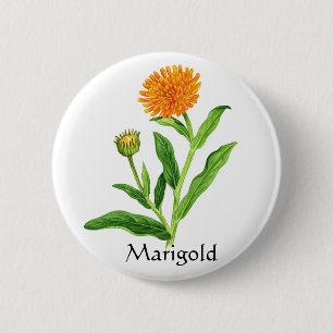 Badge Rond 5 Cm Herb Garden Series - Marigold