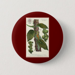 Badge Rond 5 Cm Herbes alimentaires vintages épices, poivre noir P