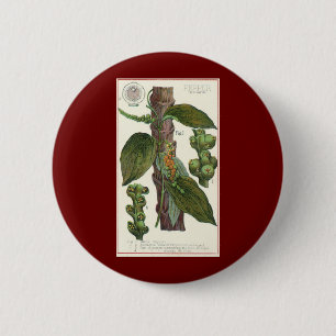 Badge Rond 5 Cm Herbes et épices alimentaires vintage, plante de p