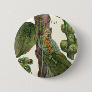 Badge Rond 5 Cm Herbes et épices alimentaires vintage, plante de p