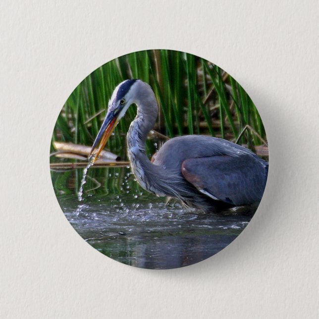 Badge Rond 5 Cm Heron Splash (Devant)
