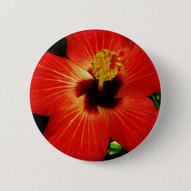 Badge Rond 5 Cm Hibiscus rouge (Devant)