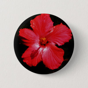 Badge Rond 5 Cm Hibiscus rouge