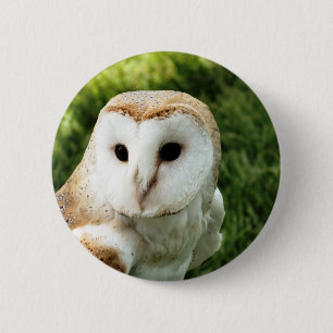 BADGE ROND 5 CM HIBOU