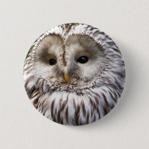 BADGE ROND 5 CM HIBOU