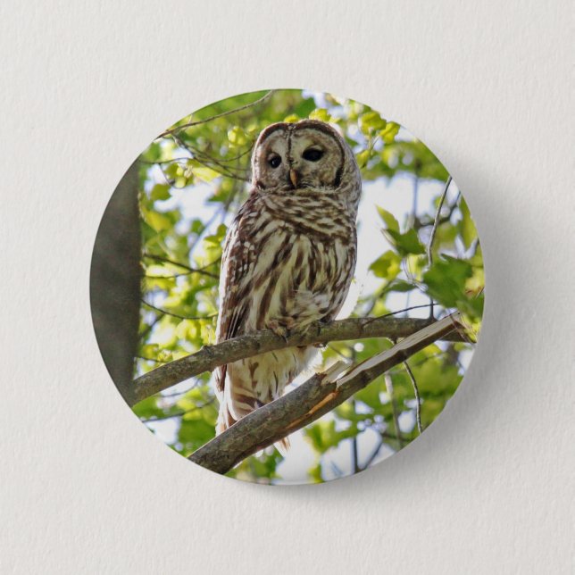 Badge Rond 5 Cm Hibou barré (Devant)