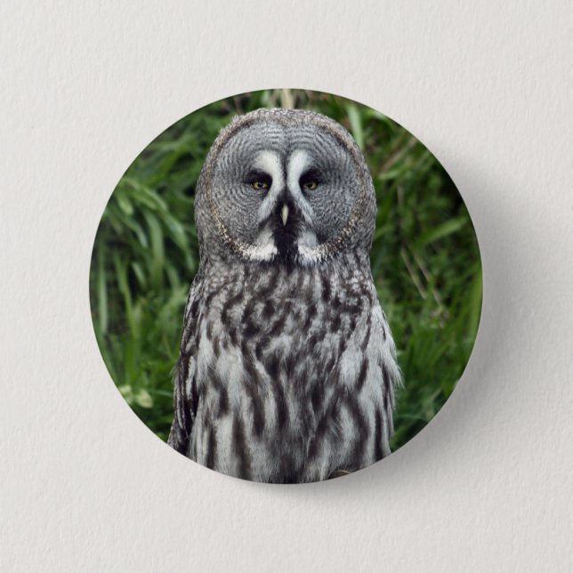 Badge Rond 5 Cm Hibou de grand gris (Devant)
