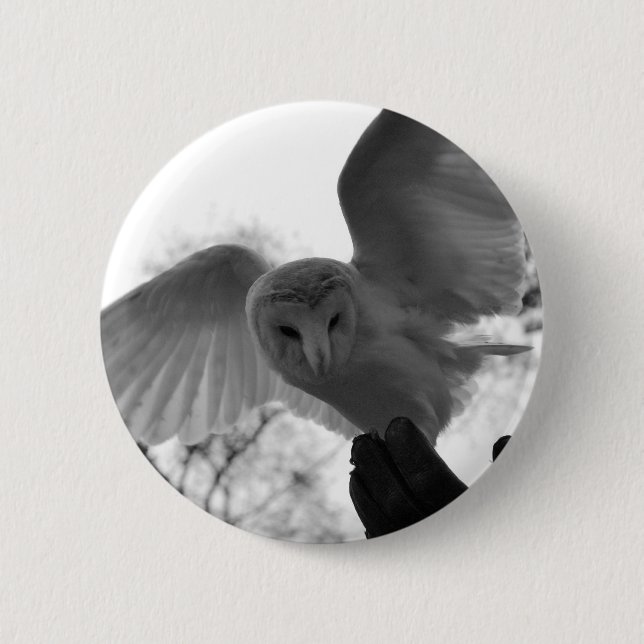 Badge Rond 5 Cm Hibou de grange (Devant)