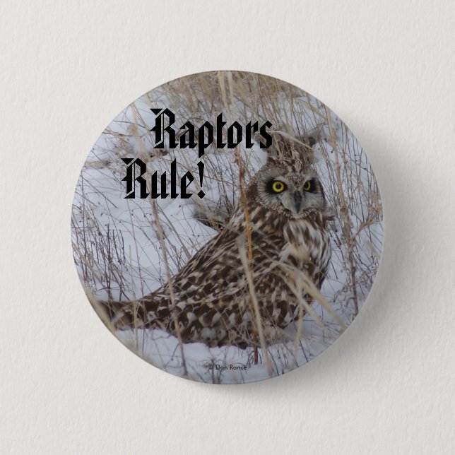 Badge Rond 5 Cm Hibou des marais B11 (Devant)