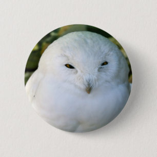 Badge Rond 5 Cm Hibou des neiges