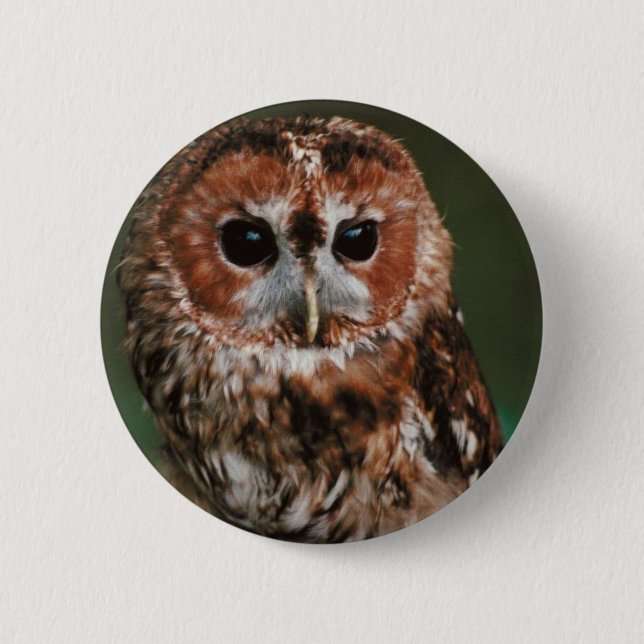 Badge Rond 5 Cm Hibou fauve de bébé (Devant)