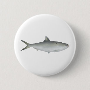 Badge Rond 5 Cm Hilsa Shad