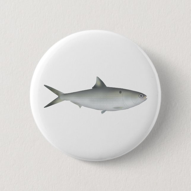 Badge Rond 5 Cm Hilsa Shad (Devant)