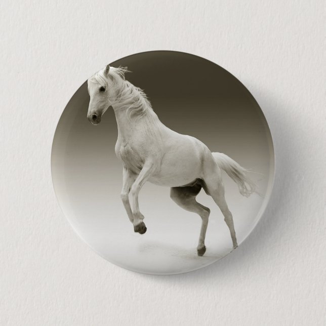 Badge Rond 5 Cm hippocampe (Devant)