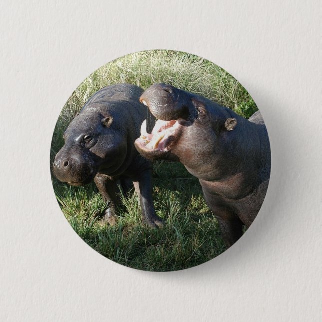 Badge Rond 5 Cm Hippopotame (Devant)