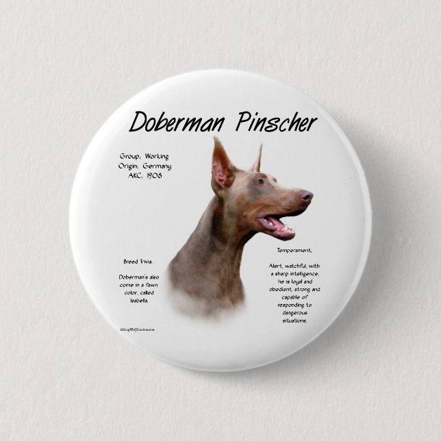 Badge Rond 5 Cm Histoire d'Isabella Doberman (Devant)