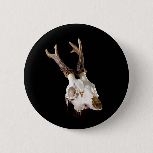 Badge Rond 5 Cm Histoires de chasse ! (Devant)