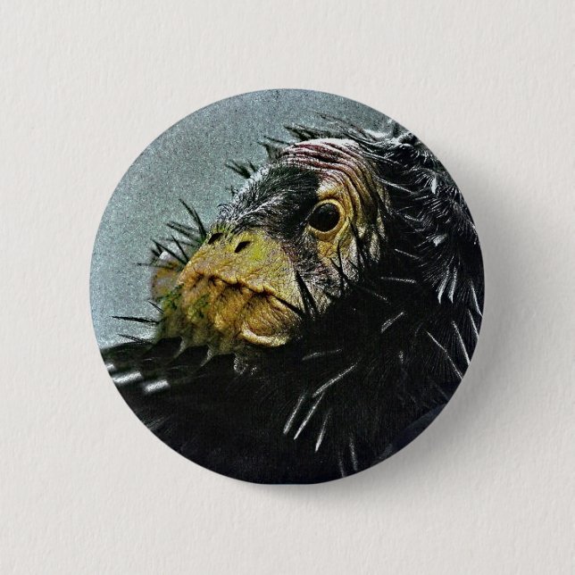 BADGE ROND 5 CM HOMME DE CONDOR (Devant)