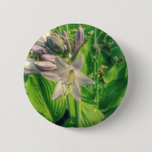 Badge Rond 5 Cm Hosta