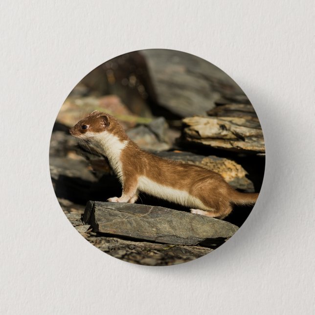 Badge Rond 5 Cm Huile de chasse (Devant)