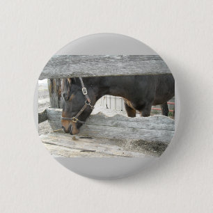 Badge Rond 5 Cm Humour Cheval de Grange