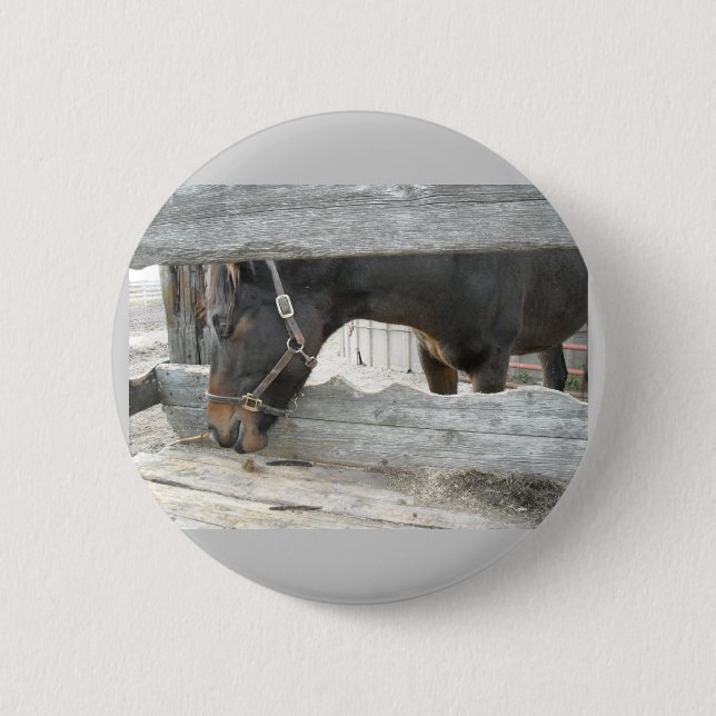 Badge Rond 5 Cm Humour Cheval de Grange (Devant)