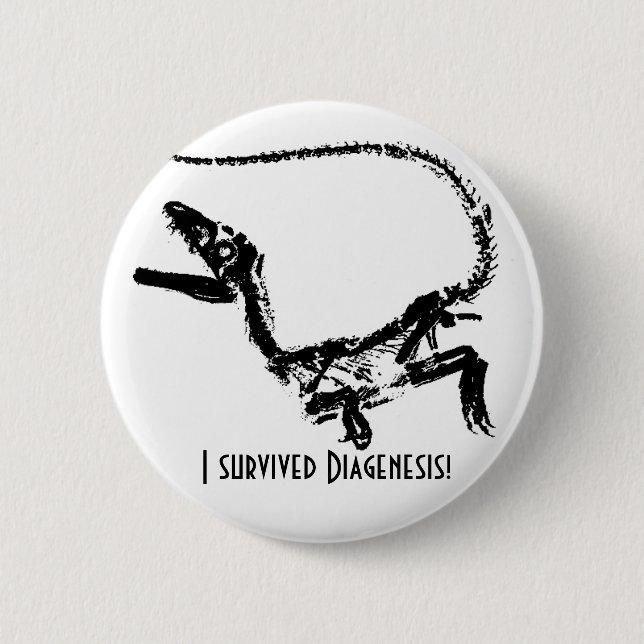 Badge Rond 5 Cm I Survived Diagenesis Boton (Devant)