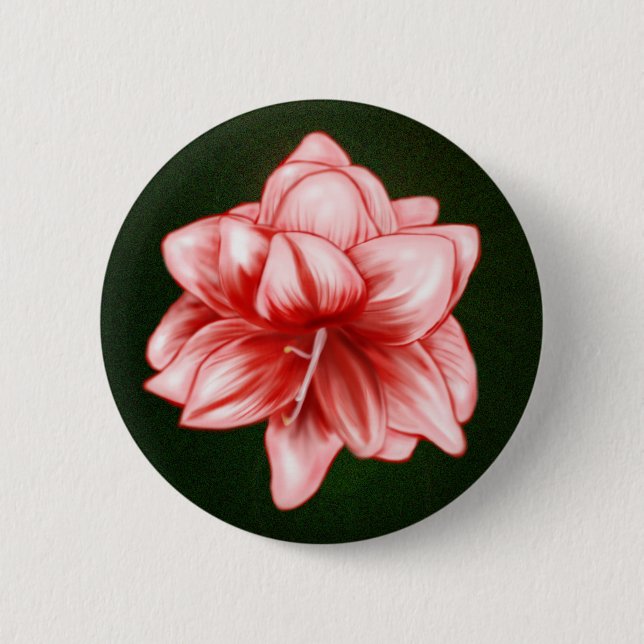 Badge Rond 5 Cm Illustration Amaryllis rose et blanc (Devant)