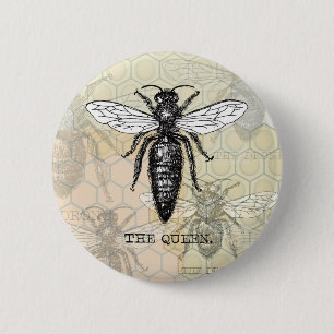 Badge Rond 5 Cm Illustration Antique d'Insecte de Bourdon Reine Ab
