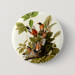Badge Rond 5 Cm Illustration Audubon American Robin Wildlife Bird