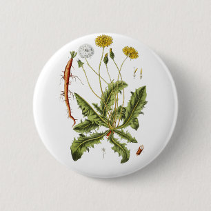 Badge Rond 5 Cm Illustration de pissenlit vintage