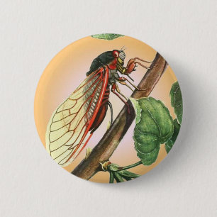 Badge Rond 5 Cm Illustration des insectes du Canada