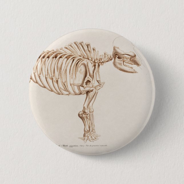 Badge Rond 5 Cm Illustration Mamoth (Mammut) (Devant)