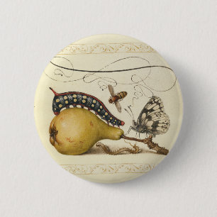 Badge Rond 5 Cm Illustration Papillon Abeille Fruit Insecte