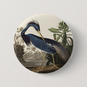 Badge Rond 5 Cm Illustration vintage d'Audubon du héron de Louisia